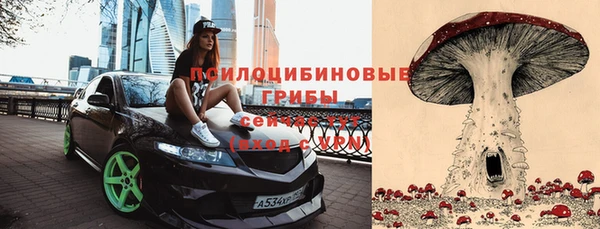 mix Пересвет