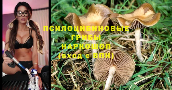 герыч Переславль-Залесский