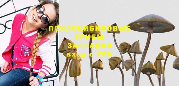 герыч Переславль-Залесский